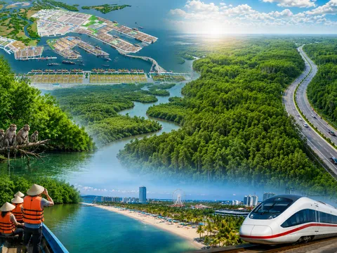 Cần Giờ “viên ngọc xanh” trong chiến lược đưa TP.HCM vươn ra biển lớn