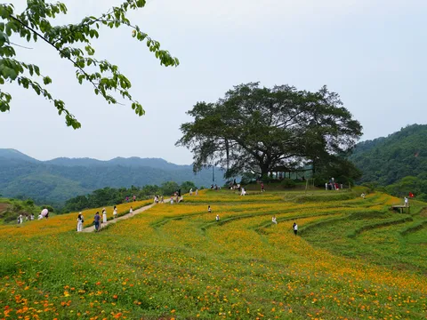 Người gieo "mầm xanh" du lịch trên đỉnh xóm Mừng