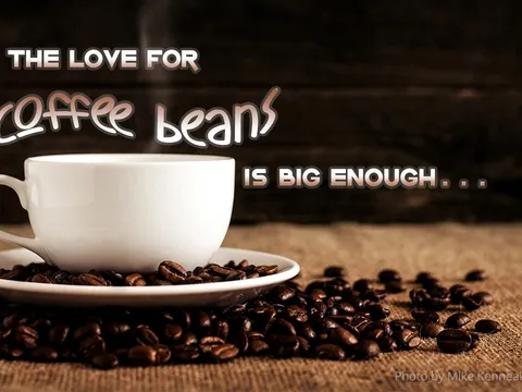 When the love for coffee beans is big enough…