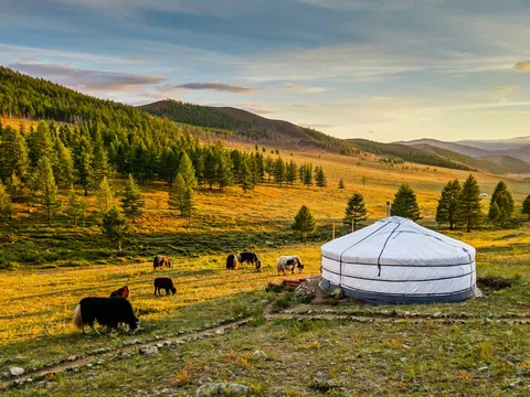 Mông Cổ gia hạn du lịch miễn thị thực cho 34 quốc gia đến ngày 31 tháng 12 năm 2025