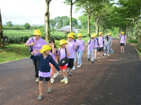 Farmstay nông nghiệp, điểm giao thoa giữa trải nghiệm và nghỉ dưỡng  trong du lịch canh nông Đà Lạt