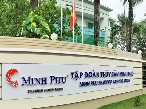 Biến động chuyển nhượng cổ phiếu của Tập đoàn Thủy sản Minh Phú