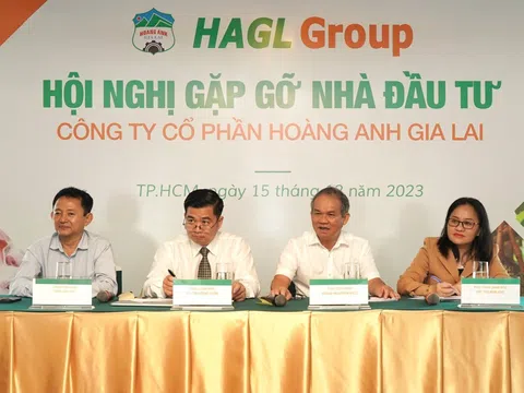 Hoàng Anh Gia Lai (HAG) chào bán thành công 1.300 tỷ đồng cổ phiếu riêng lẻ