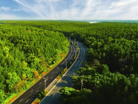 VnExpress Marathon Green Paradise Cần Giờ  - Giải chạy bộ giữa sắc xanh ngút ngàn của Rừng Sác và biển trời Cần Giờ