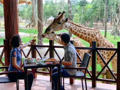 Du khách đổ xô về Bắc đảo Phú Quốc để trải nghiệm các trò chơi độc lạ