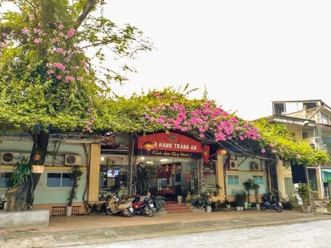 Nhà hàng Tràng An – Tuyên Quang: Điểm đến lý tưởng cho thực khách sành ăn