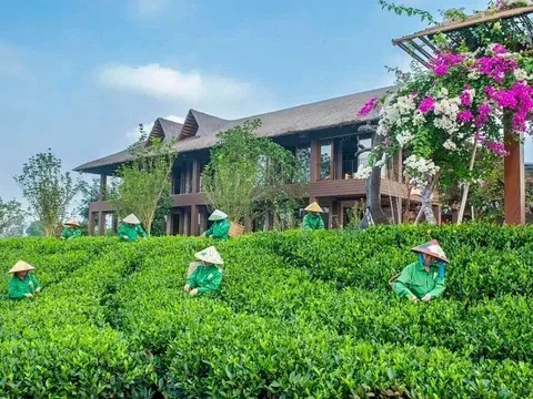 Du lịch Thái Nguyên chuyển hướng phát triển, mở rộng thị trường và khẳng định vị thế trên bản đồ du lịch Việt Nam