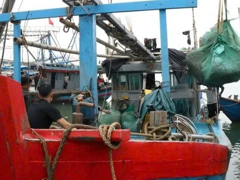 Ngư dân Quảng Trị rộn ràng phiên biển cuối năm