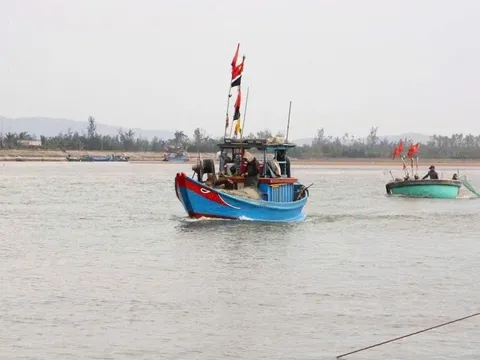 Quảng Trị: Quyết tâm gỡ cảnh báo 'thẻ vàng' của Ủy ban châu Âu đối với nghề cá