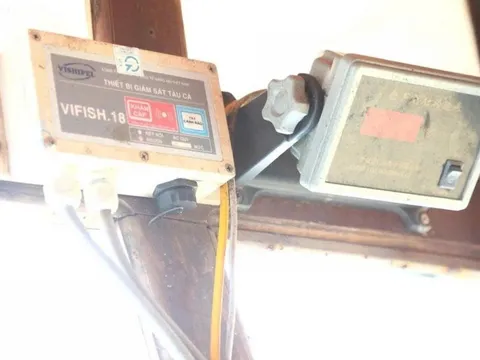 Tỉnh Quảng Trị: Ban hành chính sách hỗ trợ cước thuê bao dịch vụ giám sát hành trình tàu cá (VMS) giai đoạn 2026–2028, nhiều ngư dân vùng biển địa phương thêm vững tin vươn khơi, bám biển.