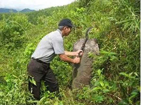 Quảng Trị: Tiềm năng phát triển du lịch của di tích lũy Nhật Lệ
