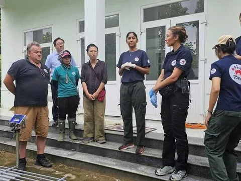 Giữ 7 cá thể hổ ở Phong Nha – Kẻ Bàng gần với tự nhiên