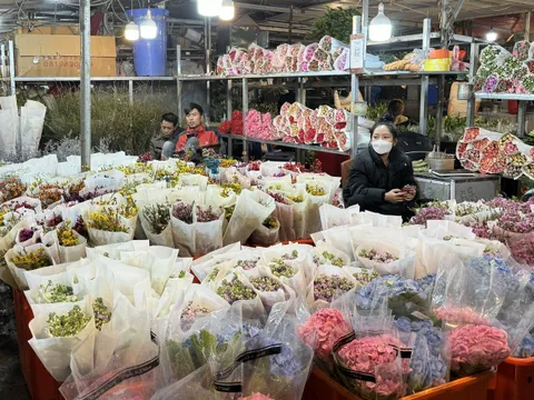 Đề xuất chợ hoa lớn nhất tại Hà Nội trở thành sản phẩm du lịch đêm