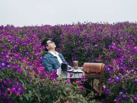 Rực rỡ sắc hoa sim tím nở rộ khắp Lóng Luông, Vân Hồ