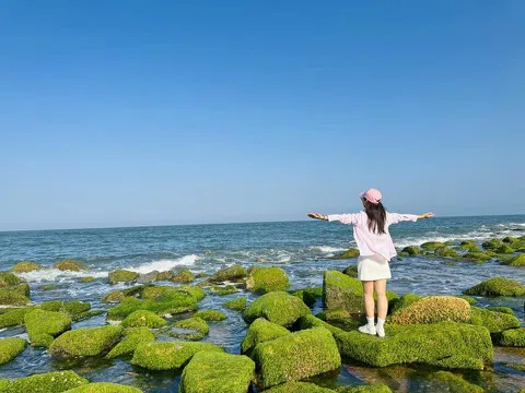 Phú Yên: Vẻ đẹp bờ kè xóm Rớ mùa rêu xanh