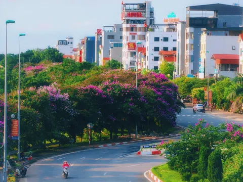 Nhiều con phố thủ đô Hà Nội ngập tràn sắc hoa bằng lăng tím