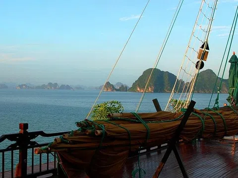 Tripadvisor xướng tên 2 điểm du lịch Việt Nam lọt top điểm đến thịnh hành thế giới