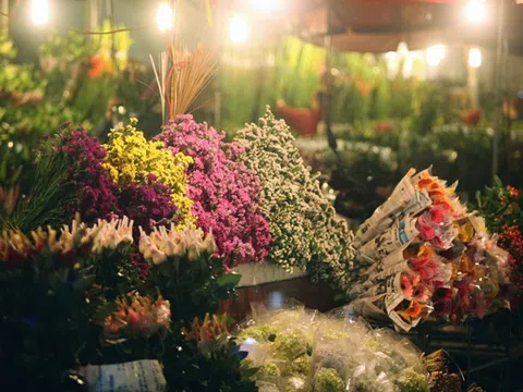 Chợ hoa Quảng Bá - một Hà Nội khác biệt về đêm