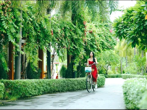 Silk Sense Hội An River Resort - Hướng đi xanh trong lòng phố Hội