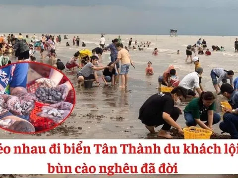 Kéo nhau đi biển Tân Thành, du khách lội bùn cào nghêu đã đời!
