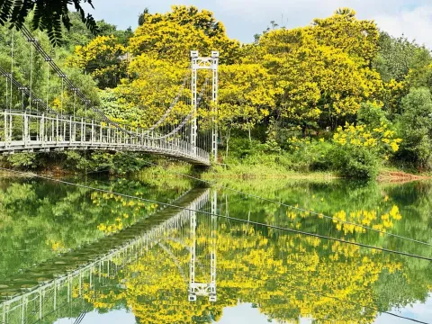 “Lụm ảnh mỏi tay” trước những chiếc cầu treo đẹp kỳ vĩ ở Việt Nam