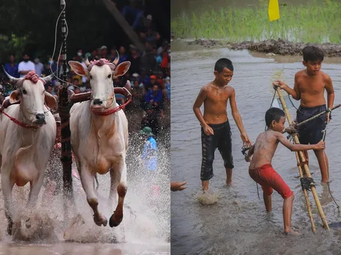 An Giang: Sau Lễ hội đua bò, lũ trẻ thi nhau “đua người” tạo nên cuộc vui đầy ngẫu hứng