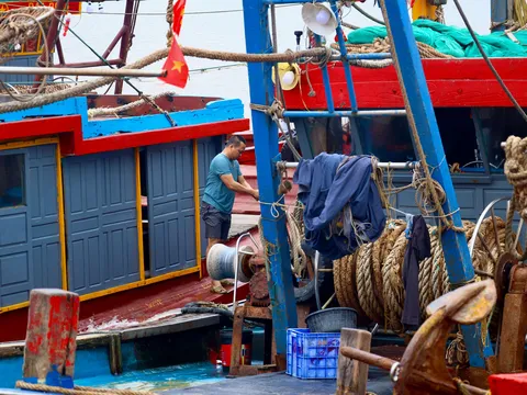 Nhịp mưu sinh bên cảng cá Tân Sơn