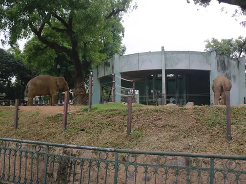 Dự án “ZOO HÍ”: Làm mới hình ảnh Vườn thú Hà Nội từ góc nhìn người trẻ