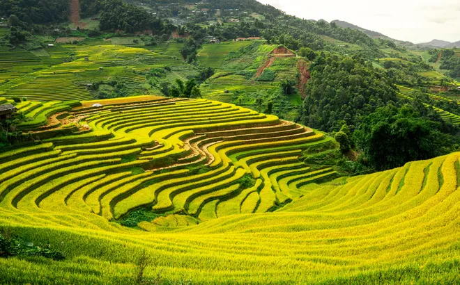 Hành trình khám phá Lao Chải (Lào Cai) bốn mùa quyến rũ