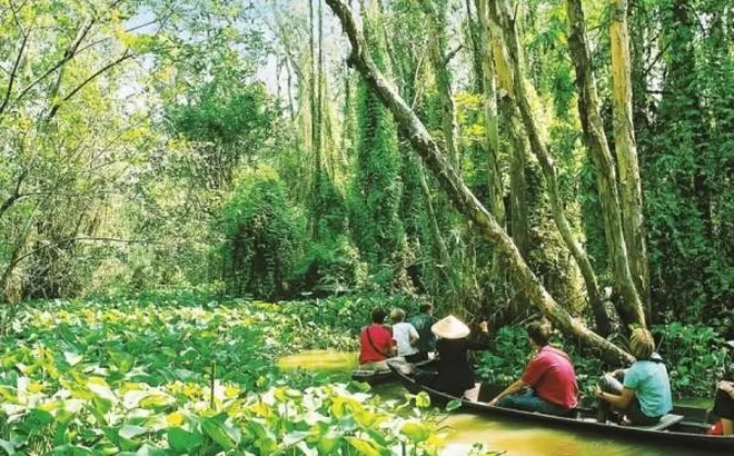 ĐỒNG THÁP – NƠI THIÊN NHIÊN KỂ CHUYỆN ĐẤT PHƯƠNG NAM