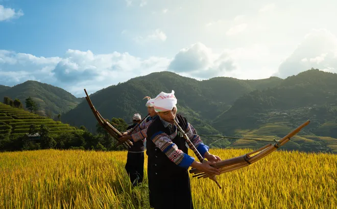 Khèn Mông ở Lao Chải: Tiếng gọi từ đời sống bản làng