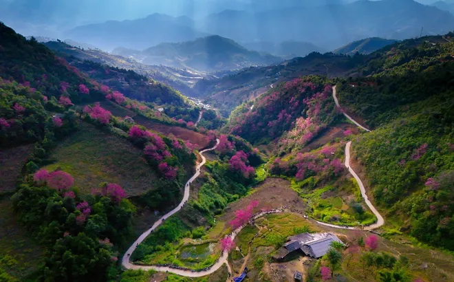 Rộn ràng Festival Khèn Mông - Trải nghiệm sắc màu văn hóa giữa rừng hoa Tớ Dày