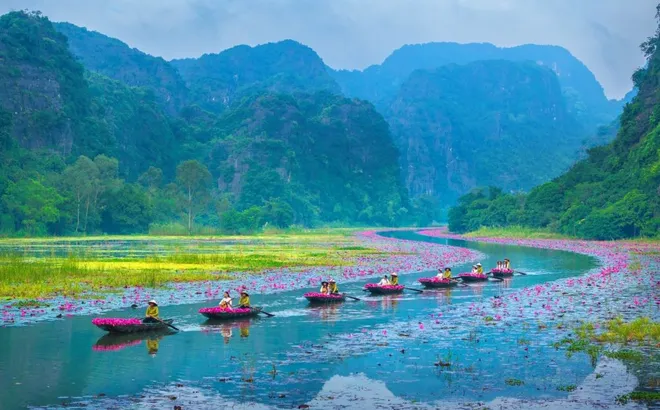 TỪ TĂNG TRƯỞNG ĐẾN NĂNG LỰC QUỐC GIA: HÀNH TRÌNH CHIẾN LƯỢC CỦA HIỆP HỘI DU LỊCH VIỆT NAM TRONG GIAI ĐOẠN MỚI *