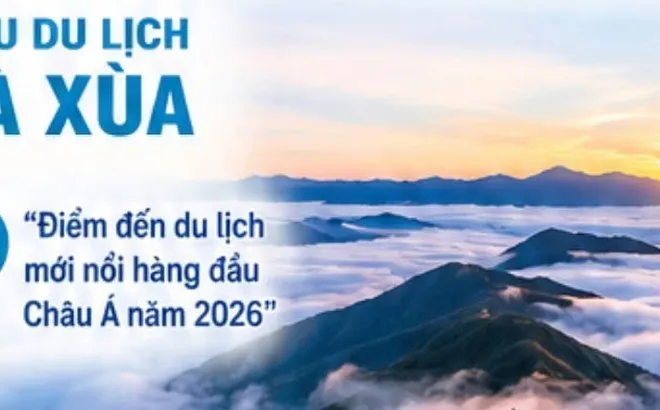 Hãy bình chọn đưa Tà Xùa tỏa sáng trên bản đồ “Điểm đến du lịch mới nổi hàng đầu châu Á 2026”
