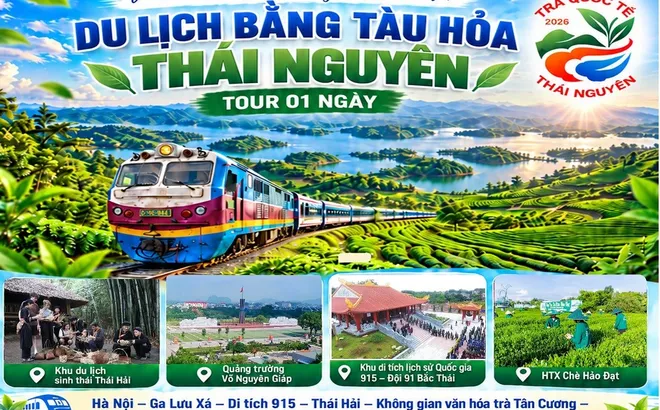 Khám phá Thái Nguyên bằng tàu hỏa: 5 hành trình nối miền di sản và hương trà